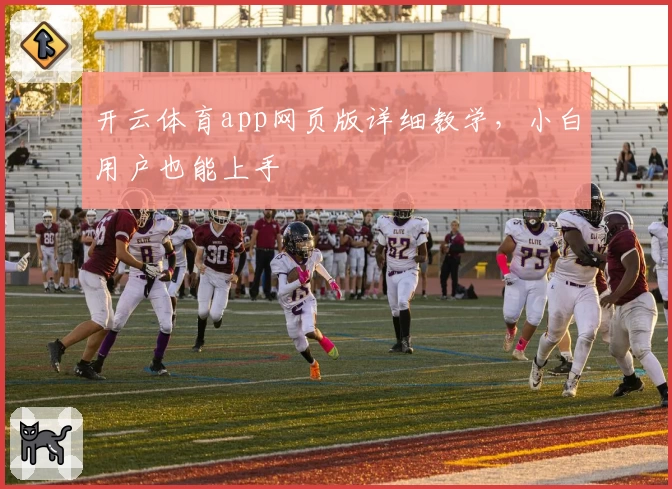 开云体育app网页版详细教学，小白用户也能上手