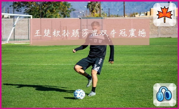 王楚钦孙颖莎混双夺冠震撼