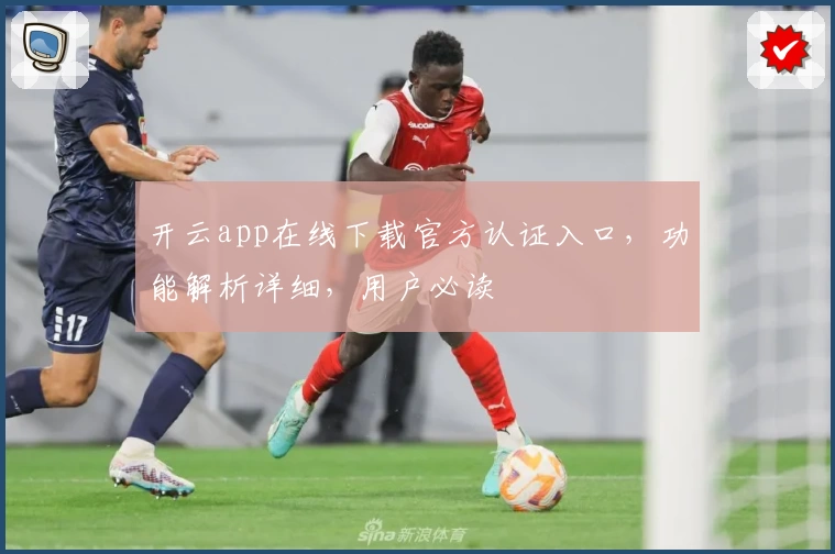 开云app在线下载官方认证入口，功能解析详细，用户必读