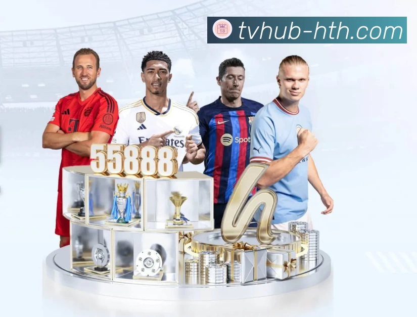 体育平台欢迎图